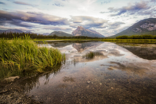 Vermilion Lakes Reflections