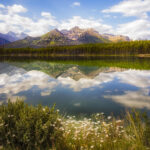 Herbert Lake Reflections