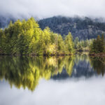 Sakinaw Reflections