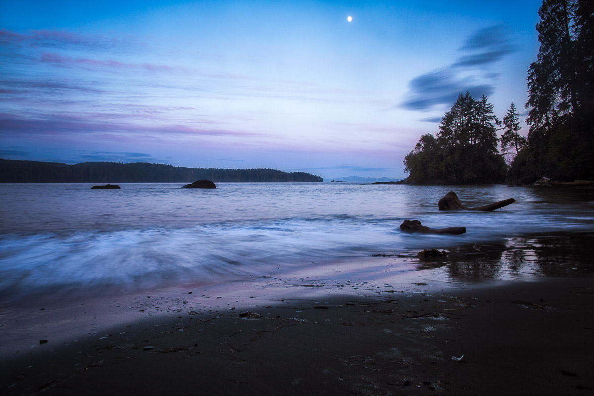 8 Days of Survival: Hiking the West Coast Trail - Alys Williams Fine Art