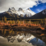 Umber Reflections