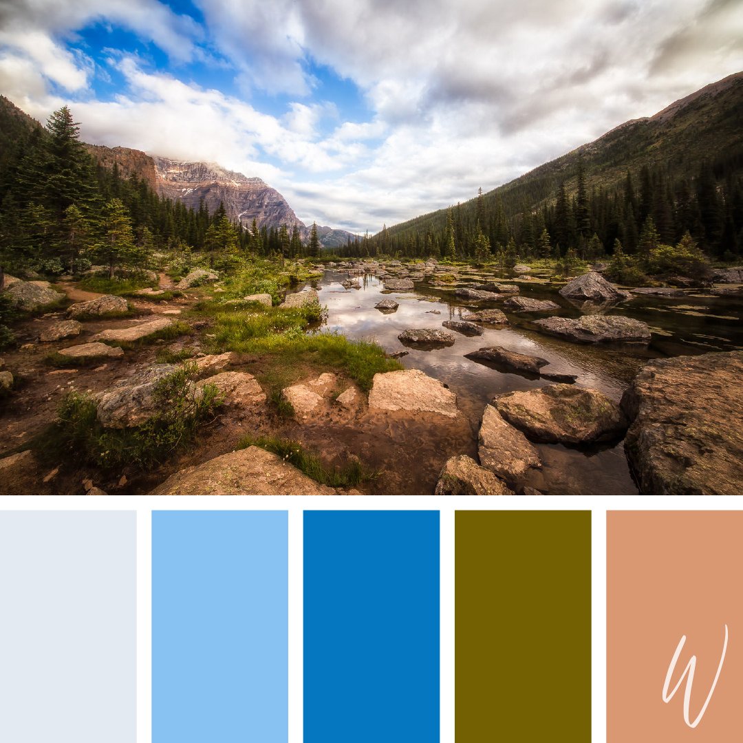 My Top 40 Nature-Inspired Colour Palettes | Alys Williams Fine Art